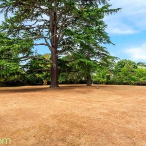 ab3d950e-9cdd-4ffb-b27c-65d289b134c5